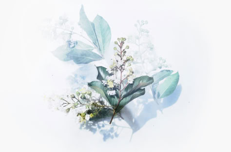 قبل السادسة صباحا